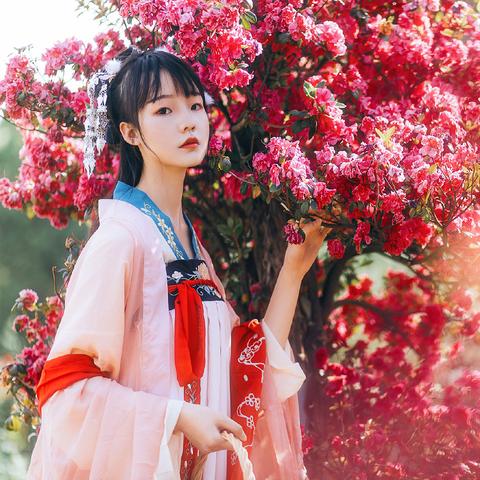 天涯明月刀手游藏书获取攻略一览