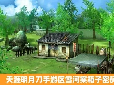 天涯明月刀手游雪河案密码及箱子密码揭晓
