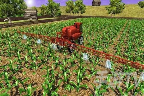 华夏人生玉米种植技巧 农作物耕种指南