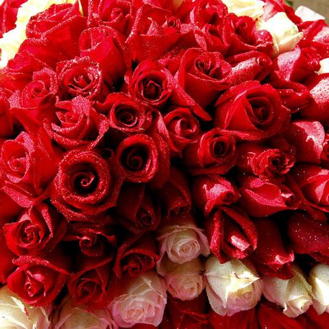 天涯明月刀手游60帧开启教程