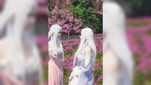 天涯明月刀白发时装价格