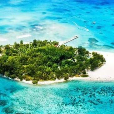 天涯明月刀手游垂钓技巧攻略