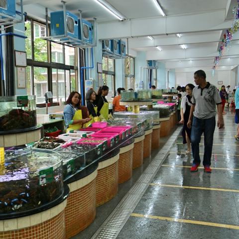 天涯明月刀手游垂钓技巧攻略