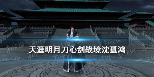 天涯明月刀手游沈孤鸿位置及玩法攻略