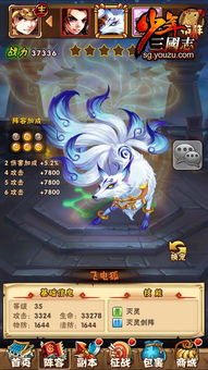 少年御灵师孔宣技能属性解析攻略