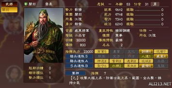 关兴武将技能羁绊解析攻略 关兴武将技能羁绊解析攻略