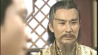 楚汉秦唐华佗英雄技能解析