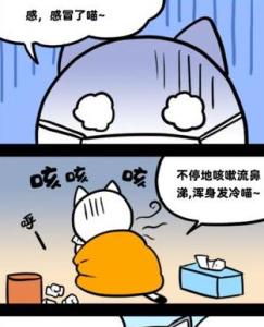 白猫废弃病院10关攻略：通关秘籍