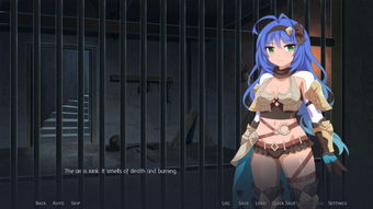 阿卡迪亚梅莉塔提英雄属性技能解析