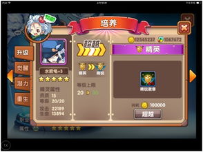 阿卡迪亚召唤攻略：游戏系统核心解析