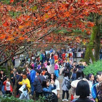 光遇墓土先祖坐标揭秘