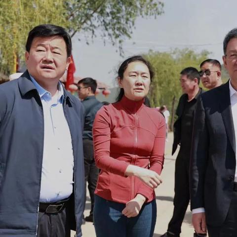 最强蜗牛巡查证明获取攻略 绿贵秘籍