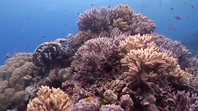 捕鱼游戏漏洞破解，事倍功半策略揭秘