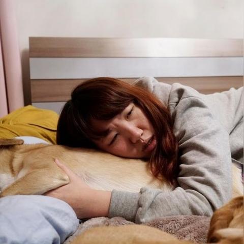 寻找女友第33关攻略：通关秘籍