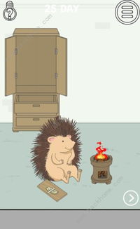 寻找女友第25关攻略：通关秘籍