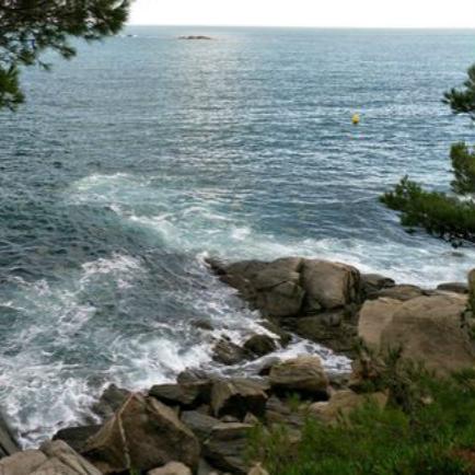 天涯明月刀手游钓鱼技巧：收杆方法攻略