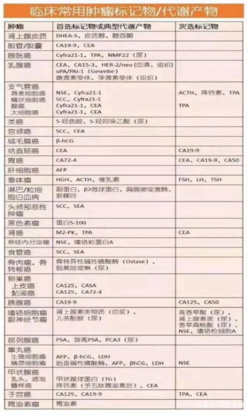 寻找女友第14关攻略解析