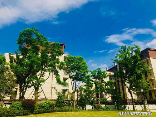 妄想山海幽兰花位置详解