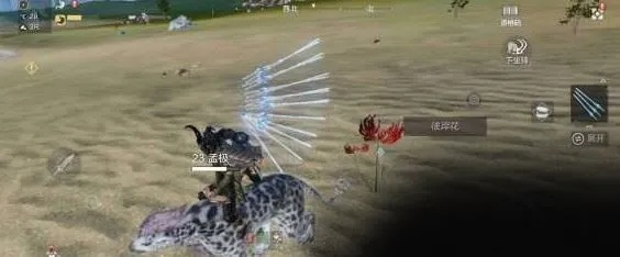 妄想山海彼岸花位置揭秘 花束摆放攻略