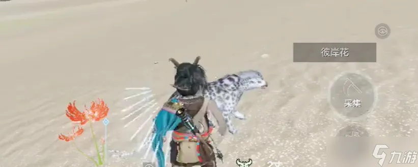 妄想山海彼岸花位置揭秘 花束摆放攻略