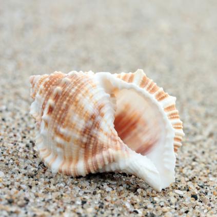 最强蜗牛不可思议海域航海技能选择攻略