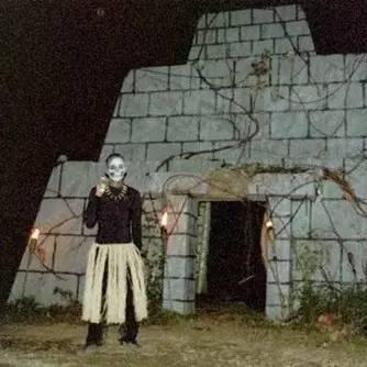 高能手办团弗吉尼亚评测：手办技能属性解析