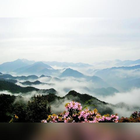 元素方尖阵容攻略：阵容搭配核心技巧