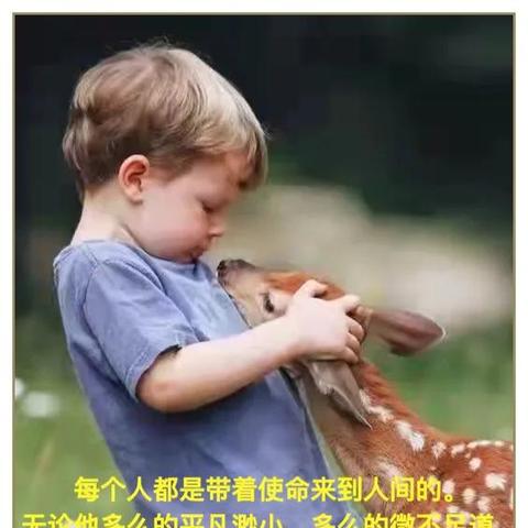 元素方尖乌鸦羽毛获取攻略