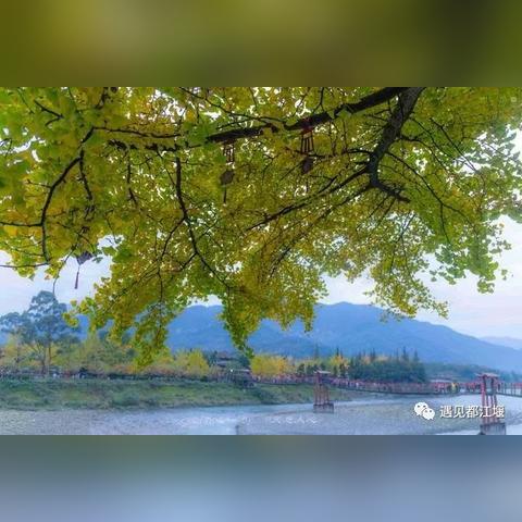 烟雨江湖青城山界宝藏揭秘