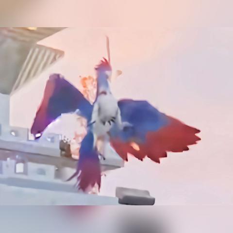 《妄想山海每日必做任务攻略》