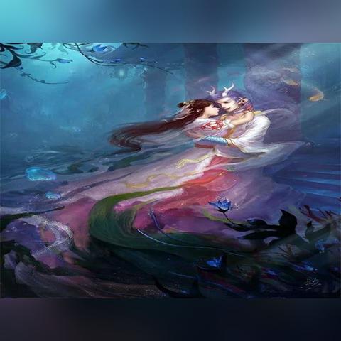 大千世界安神花购买渠道