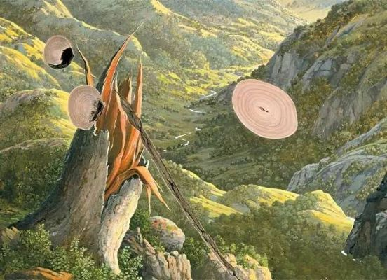 大千世界，木头用途解析