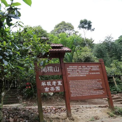 悠长假期花蜜使用方法