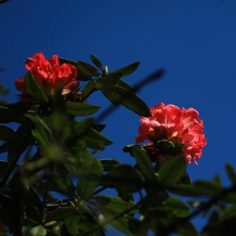 一路瞭望台通关秘籍分享