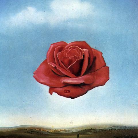 一路通往秘密的路成就攻略分享