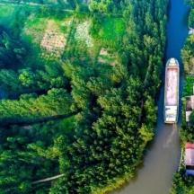 悠长假期昆虫分布位置揭秘