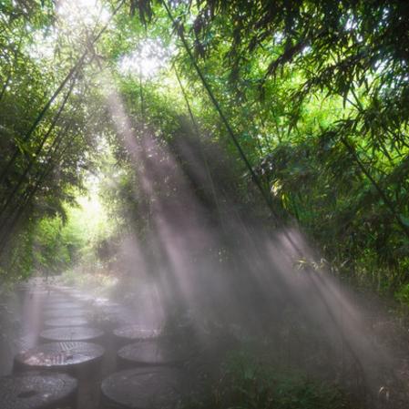 迷雾夏夜错位记忆达成技巧