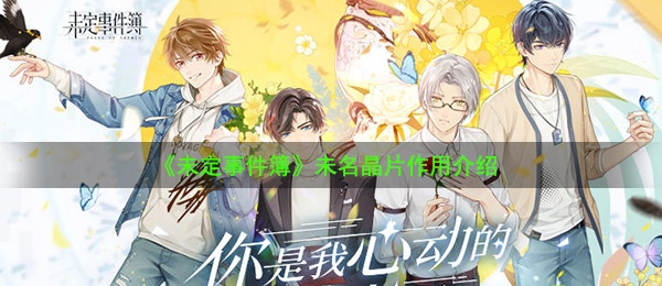 未定事件簿神秘晶片详解