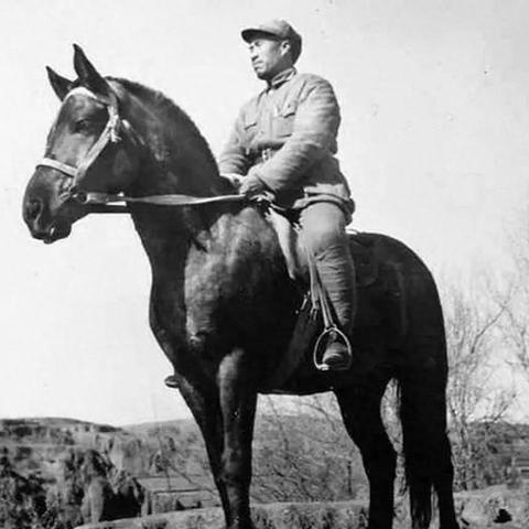 《胜利女神：新篇章》国服升级 声优优化 角色颜值提升