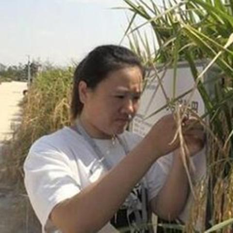 4.36亿年前鱼类命名致敬“杂交水稻之父”袁隆平