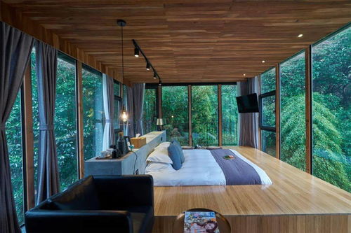 卡比探索发现NS2版新实机！全新内容大揭秘