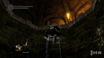 《黑暗之魂：重制版》无缝联机MOD震撼发布