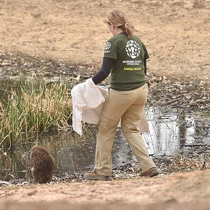 《腐蚀》5月全新发布，新生态环境丛林震撼登场