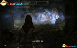 上古卷轴4：湮灭重制版PC优化疑云，中文本地化引争议