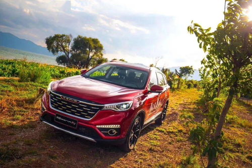 颜值高者游戏时间短！扎心真相