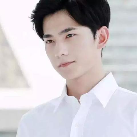 崩坏因缘精灵：探索未知新篇章