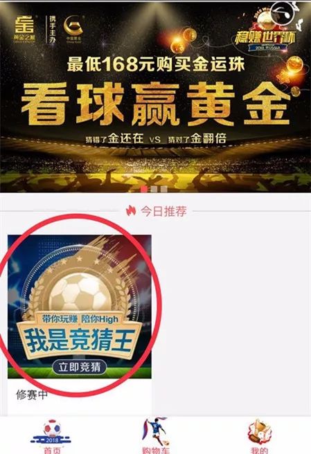 《光与影33号远征队》提价：丰厚回报助力续作开发