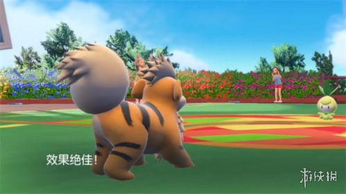 《宝可梦：朱紫》新活动 海地鼠卡蒂狗频现