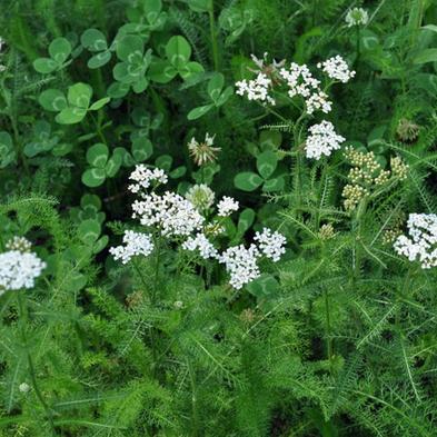 《上古4：重制版》同期发布，《创伤后》6月再版