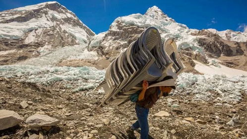 羊蹄山开放世界规模揭秘